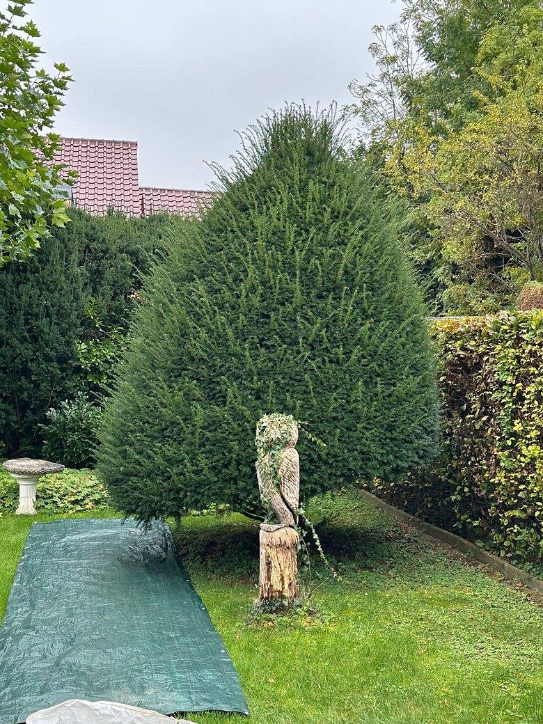 Gartenarbeit – vorher